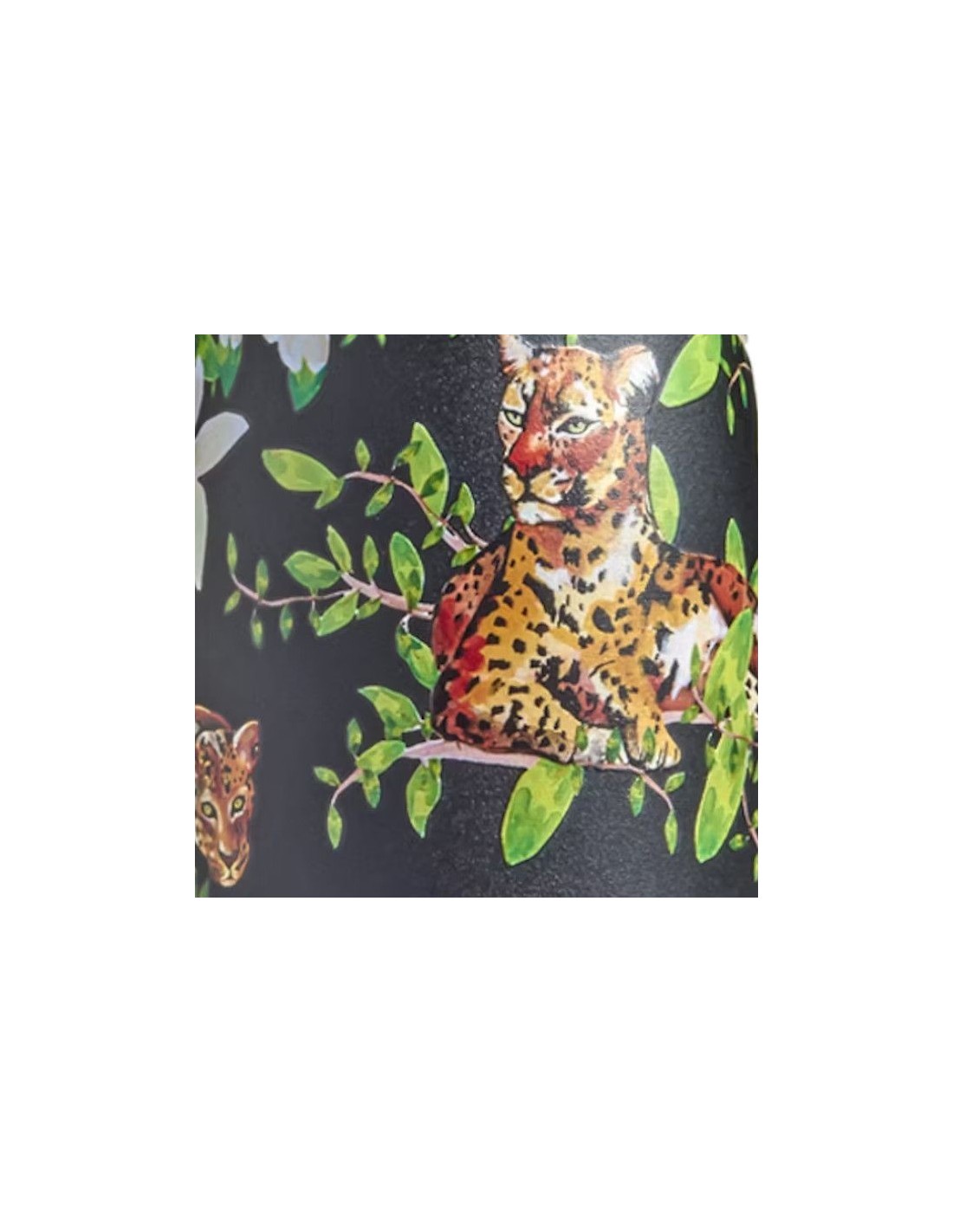 dhillys-tropical-leopard23-500ml-1-littlebox.gr